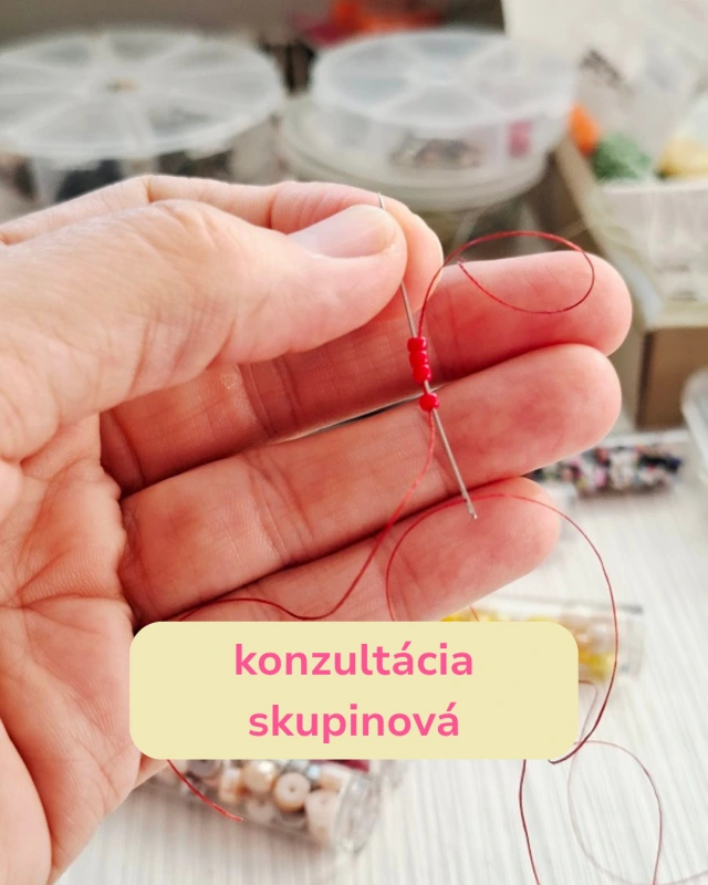 Konzultácia online (skupinová)