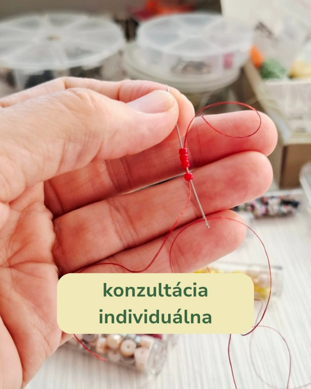 Konzultácia online (individuálna)
